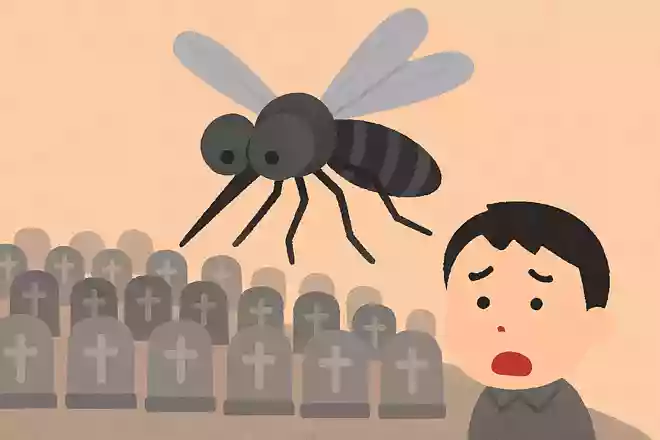 今まで人の命を一番多く奪ってきた生き物は蚊である
