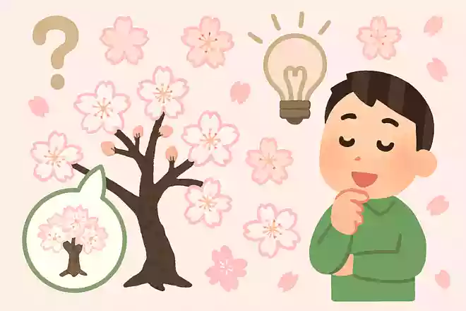 ソメイヨシノは1本の木から生まれた