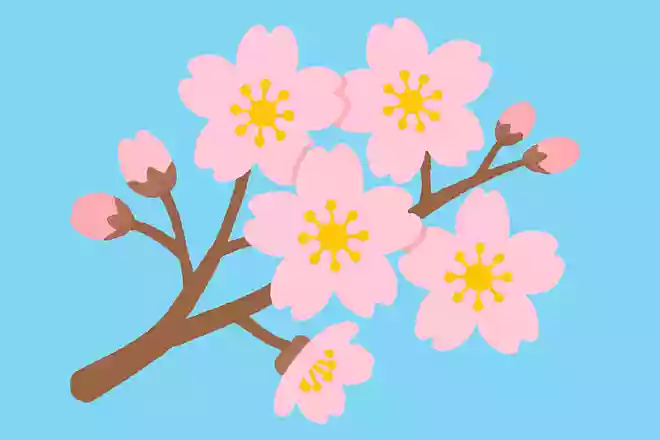 日本の国花は、次のうちどれでしょうか?