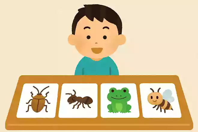 昆虫じゃない生き物はどれでしょう?