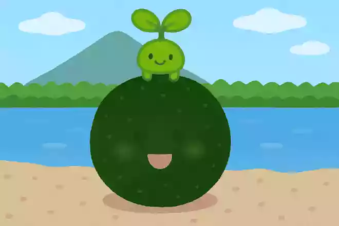 マスコットキャラクターにもなっている阿寒湖の有名な植物は?