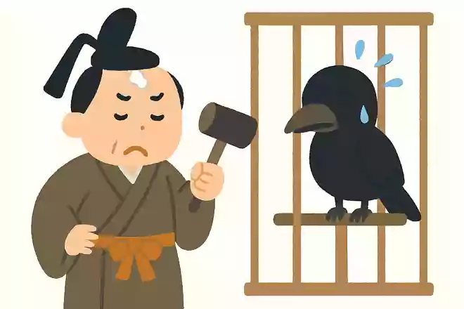 犬公方とも呼ばれていた徳川綱吉は、頭の上にフンを落としたカラスにある罰を与えました。罰とは何でしょうか?