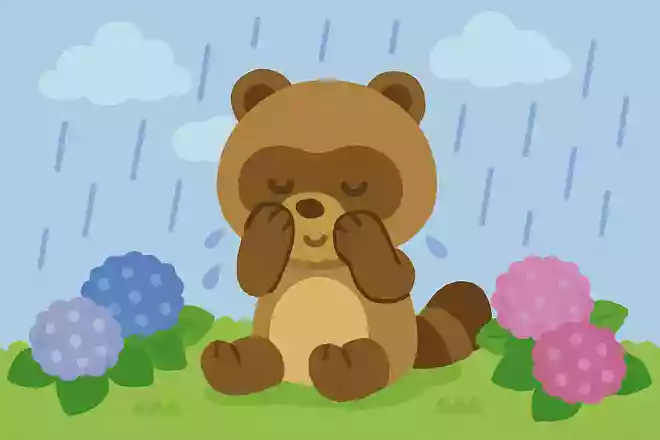 何の動物が顔を洗うと雨が降るでしょう?