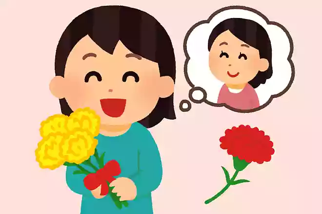 黄色のカーネーションの花言葉はなんでしょう?