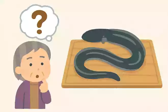 うなぎを生で食べない理由は何でしょうか?