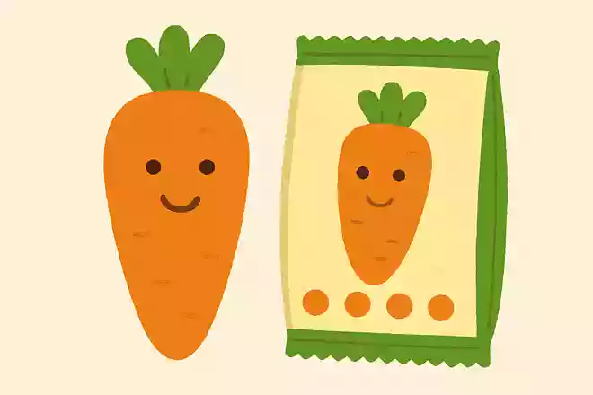 昭和32年に野菜を使った駄菓子がやま食品工業から発売されましたが何でしょうか?