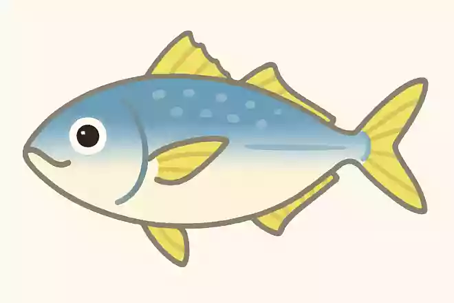 鯵
