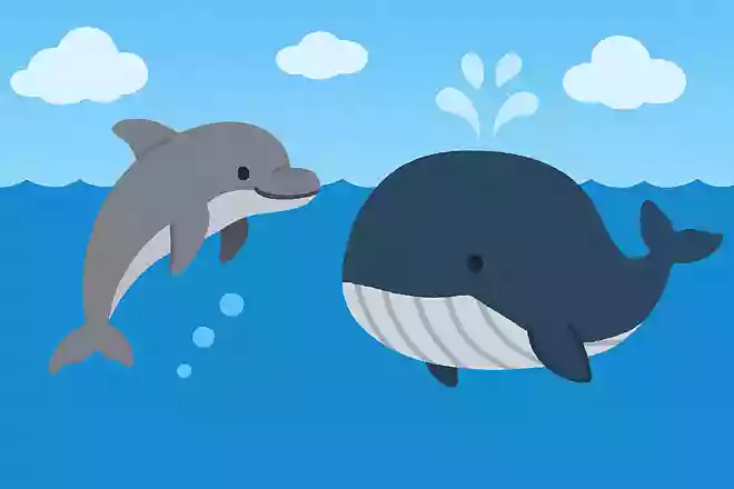 イルカとクジラの違いは?
