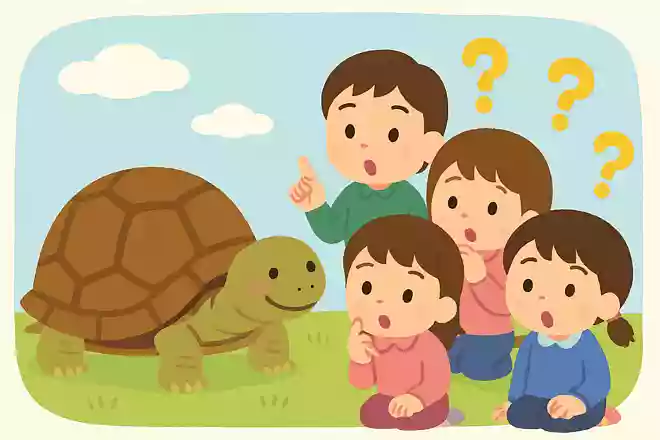 カメは長生きをすると言われています。一番長く生きたカメは何年でしょう?