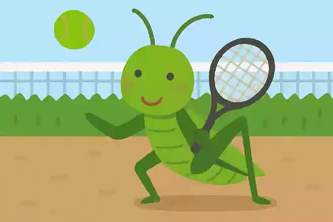 バッタが好きなスポーツはなんでしょう?