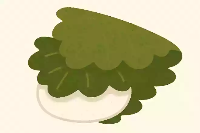 かしわ