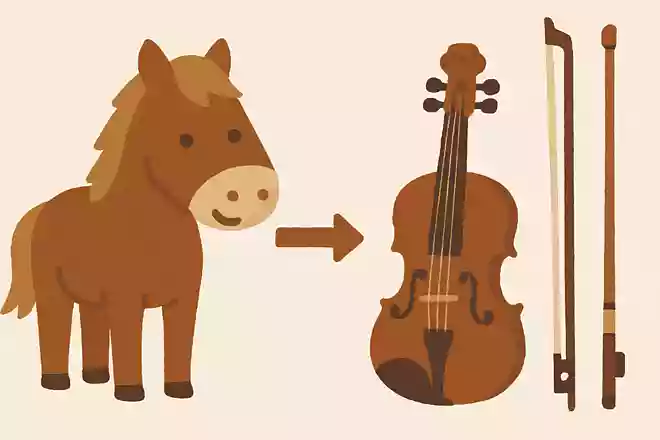 ヴァイオリンを弾く弓にはどんな動物の毛が使われているでしょうか?