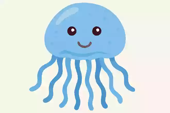 クラゲの目をなんという?