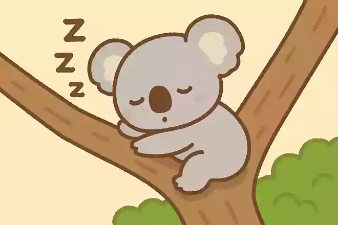 動物園ではコアラが寝ているところをよく見かけますが、コアラは1日に何時間寝ているでしょうか?