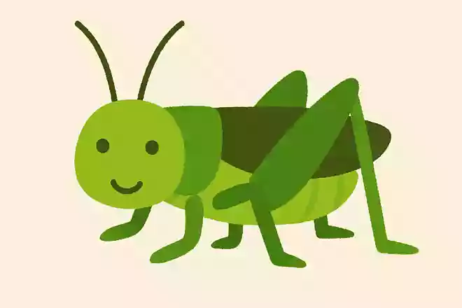 き○ぎ○す
