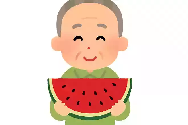 和歌山県発祥の、夏の風物詩とは何でしょうか?