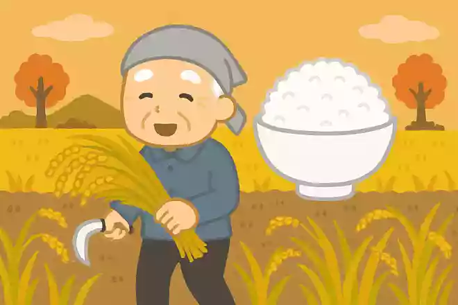 おいしい新米が収穫される秋。日本で一番多く生産されているお米の品種はなにでしょうか?