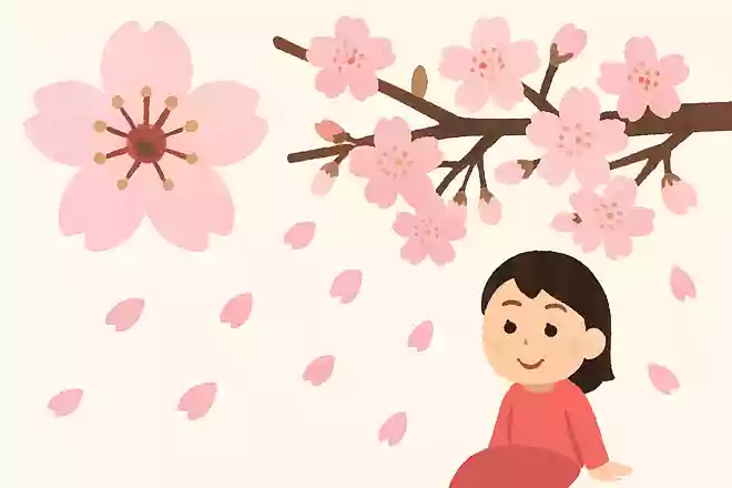 桜の花の中心が赤くなると散るサイン