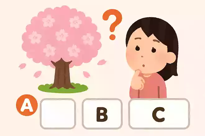 桜が満開になる基準は?