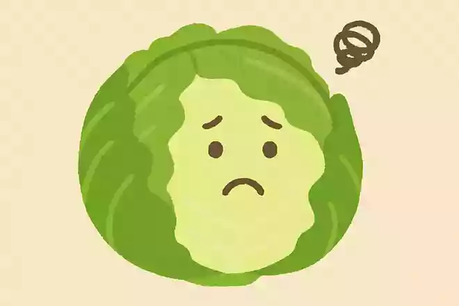 1番栄養が少ないと言われている野菜はどれでしょう?NEW!