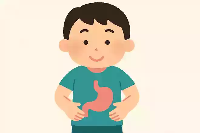 おなかの真ん中にあるのは何でしょう?