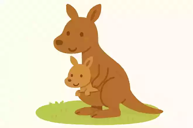 カンガルーはどうやって子供を育てるでしょうか?