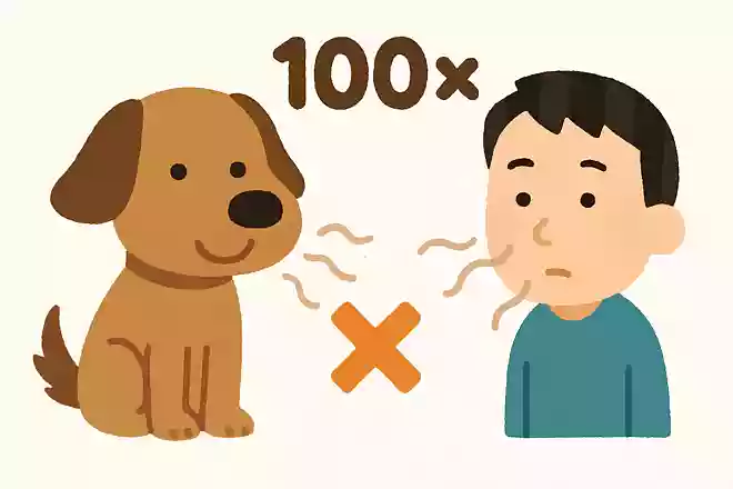 犬の嗅覚は人間の何倍?