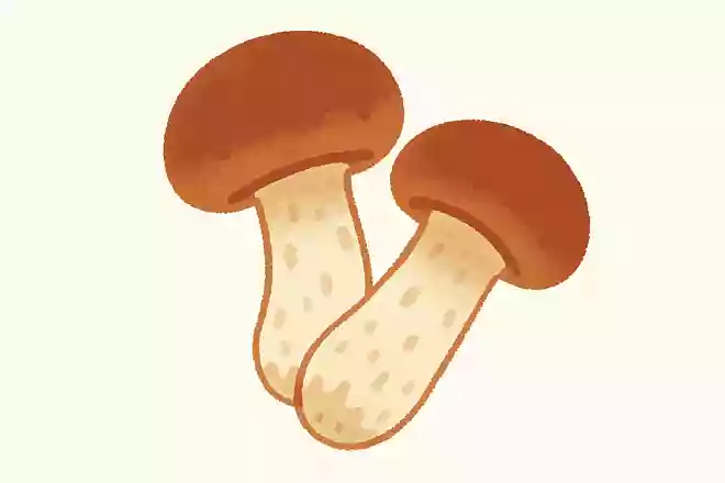 ま〇〇け