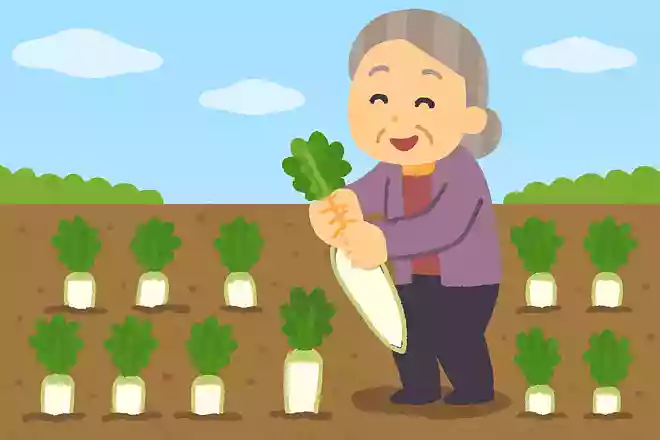 畑に大根が全部で10本埋まっていました。6本大根を抜くと、あとは何本でしょうか?