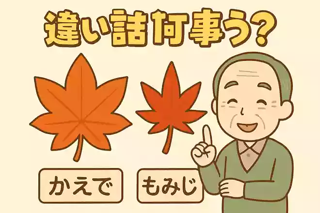 似た形で秋を彩る「もみじ」と「かえで」ですが、違いは何でしょうか?
