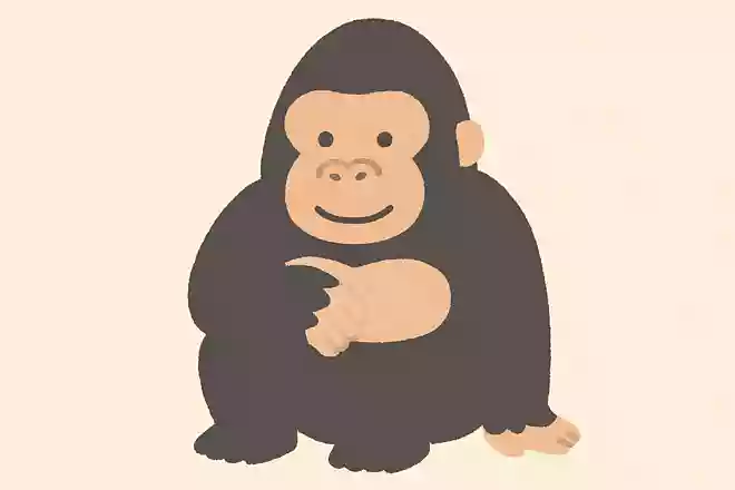 ゴリラの平均寿命は野生ではどれくらいでしょうか?