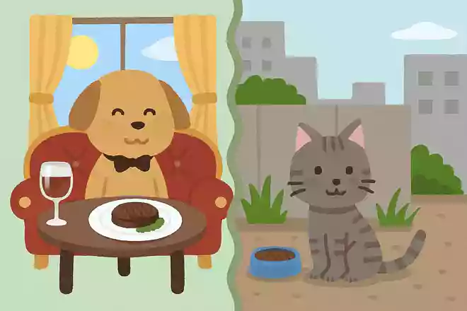 お金持ちの家の犬 or 自由に生きられる野良猫、生まれ変わるならどっち?