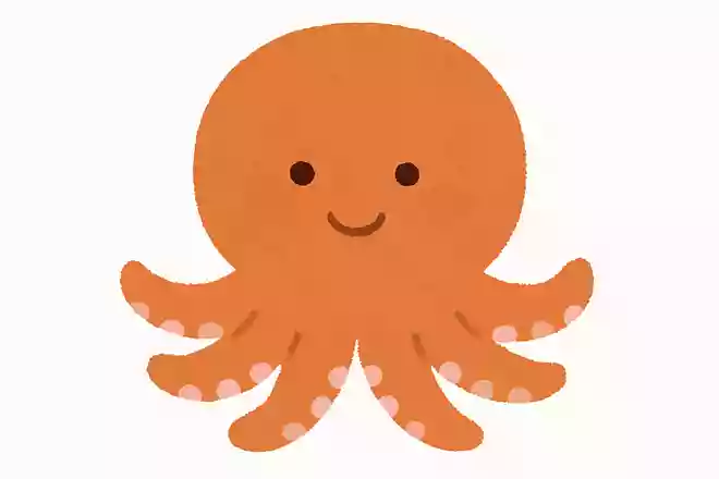 魚ではない生き物はなんでしょうか?