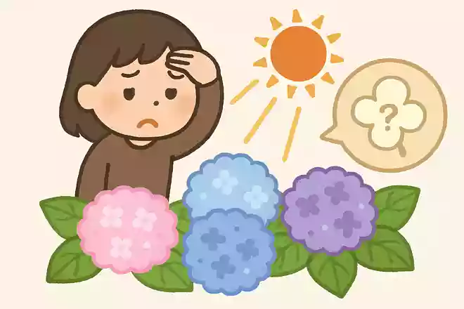 日光が苦手