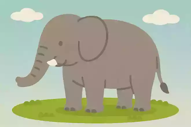 陸上の動物で1番大きな生きものは?