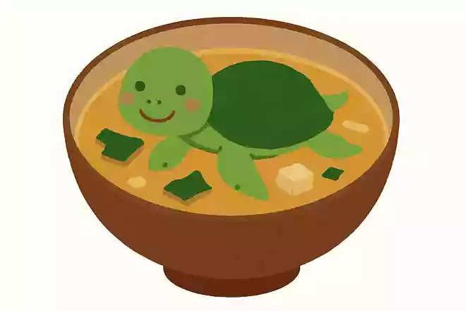 味噌汁のなかで泳ぐカメ、どんなカメ?