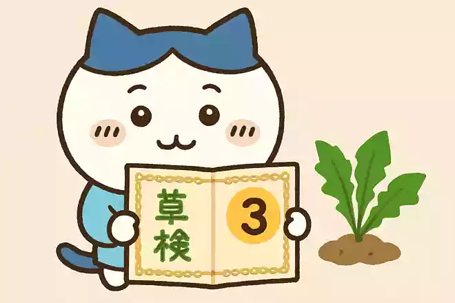 『ちいかわ』のハチワレが持っている資格「草むしり検定」何級?