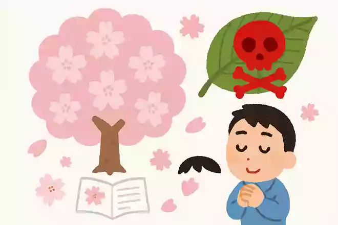 桜の葉には毒が含まれている