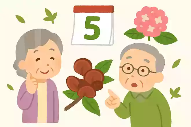 5月が旬のきくらげはくらげではなく、きのこの仲間
