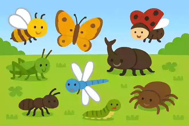 5月に外で見つけることができる虫は何でしょう?