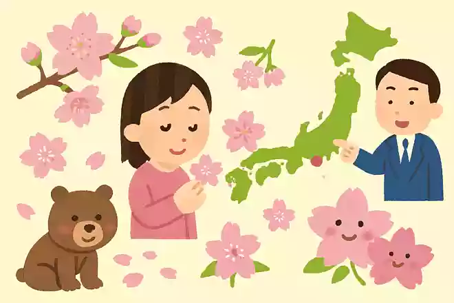 オオシマザクラの由来は伊豆大島からきている