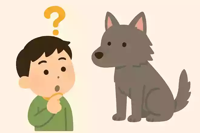 犬の祖先とされている動物は?