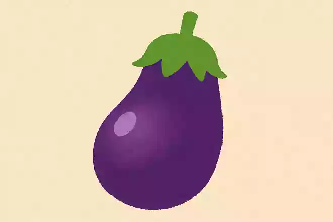 お盆にはつきものと言われ、盆提灯の形にも似ている植物は何でしょうか?