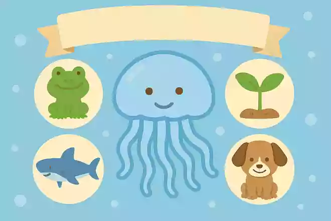 クラゲは何に分類される?