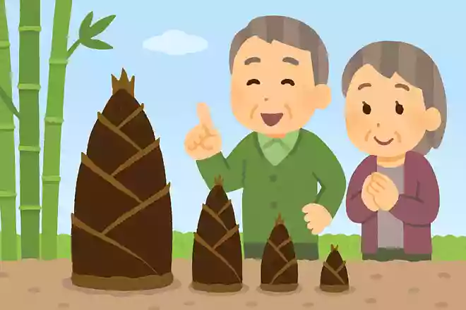 タケノコは1日で約30センチメートル伸びる