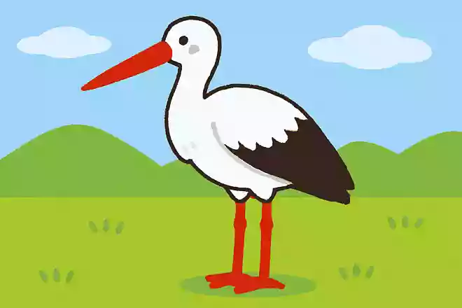 2026年度を目処に、石川県内にて放鳥される方針が決まった鳥は何でしょう?