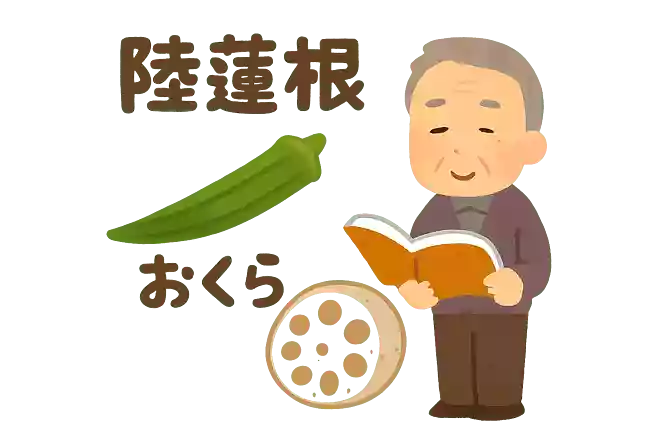 陸蓮根(おくら)