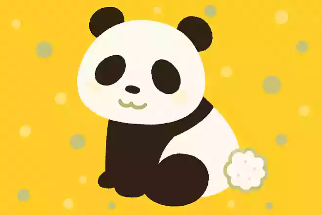 パンダのしっぽは何色でしょうか?