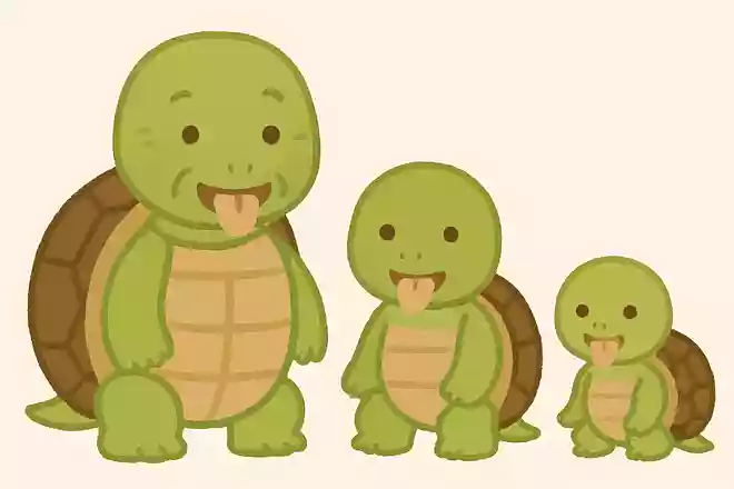 親亀、子亀、孫亀