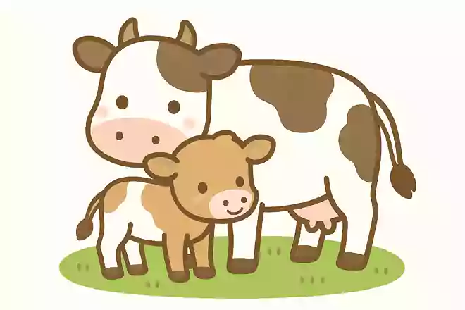 ふくらはぎは「第二の〇〇」 何と呼ばれている?